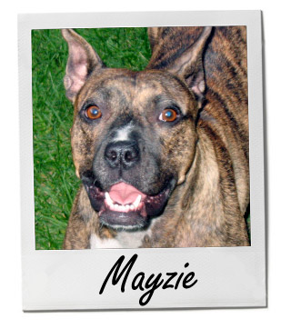 Mayzie 7/29/14