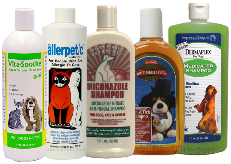 Medicated Shampoos for Dogs