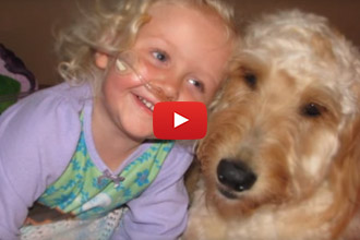 Meet Mr. Gibbs, A Service Dog With A Special Mission