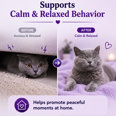 MELA-VET-CALMING-GEL-CATS-5OZ
