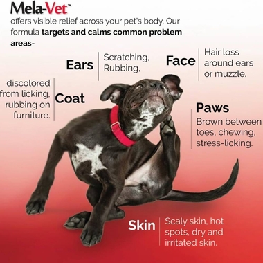 MELA-VET-SOFT-CHEWS