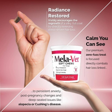 MELA-VET-SOFT-CHEWS