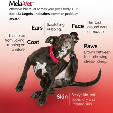 MELA-VET-360-SOFT-CHEWS