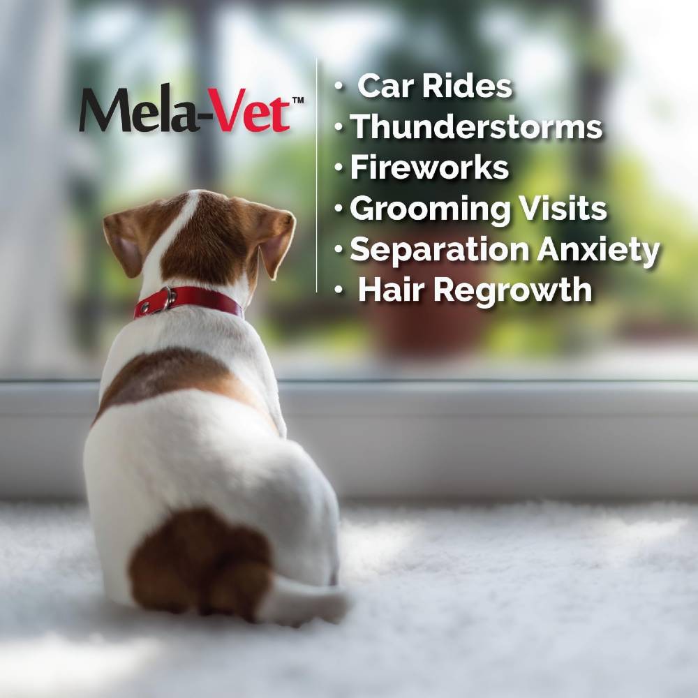 MELA-VET-360-SOFT-CHEWS