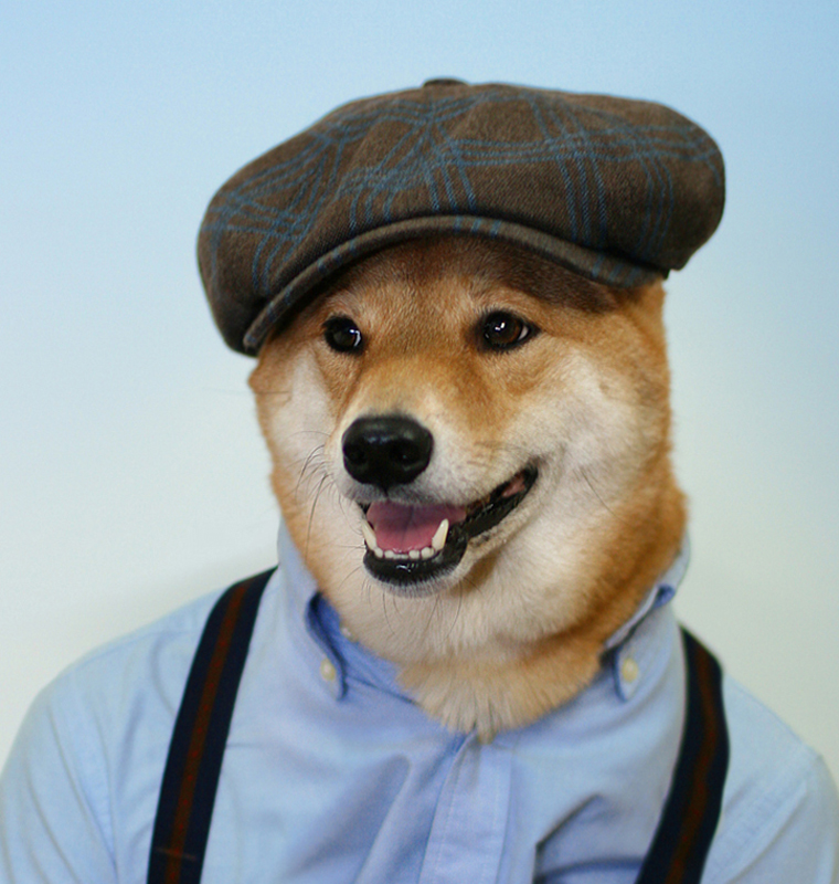 Menswear Dog