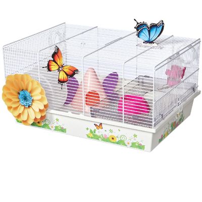 MID-WEST-BUTTERFLY-HAMSTER-HOME