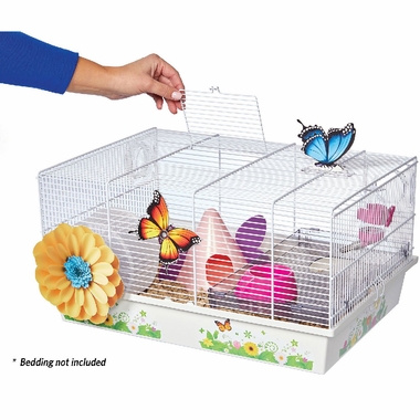 MID-WEST-BUTTERFLY-HAMSTER-HOME