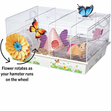 MID-WEST-BUTTERFLY-HAMSTER-HOME
