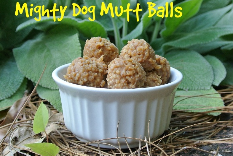 Mighty Dog Quinoa Balls Recipe