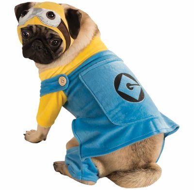 MINION-DOG-COSTUME-LARGE