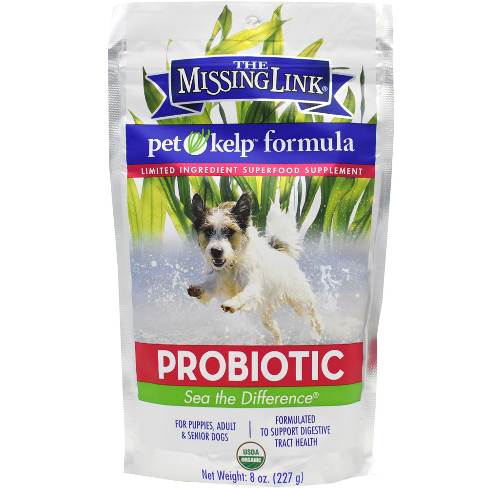 The Missing Link Pet Kelp