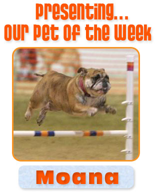 Moana Leesa (11/16/09)