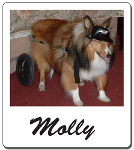 Molly (9/20/05)