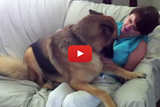 Mom Left for 36 Hours, But it Felt Like FOREVER to This German Shepherd!