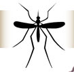 Mosquito Borne Disease
