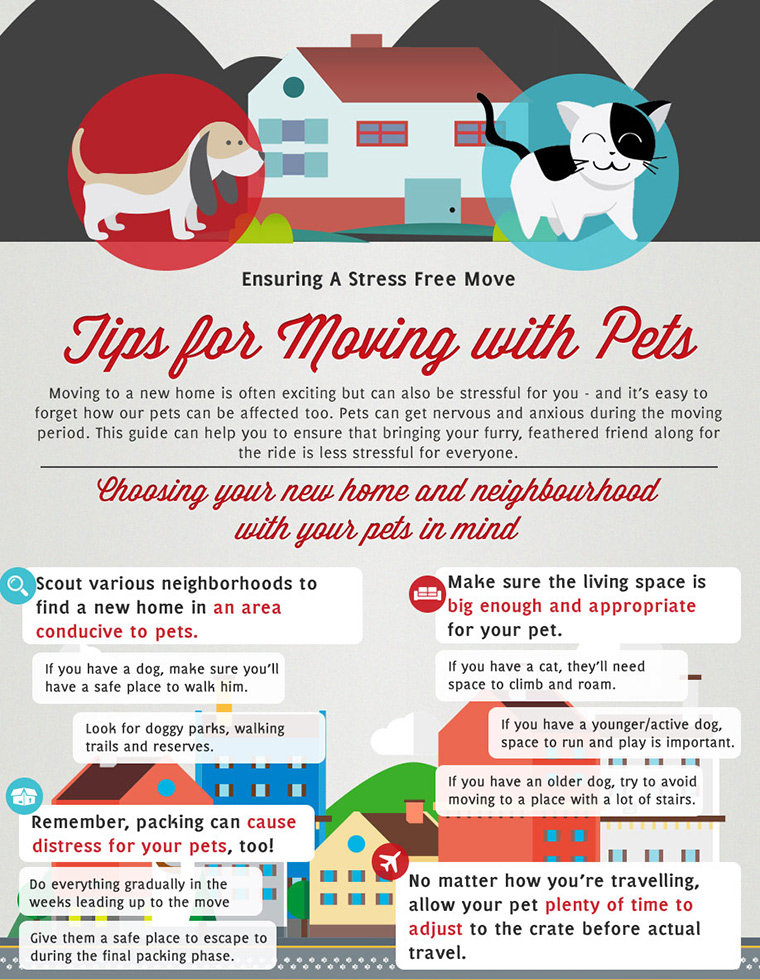 Moving Homes With Pets
