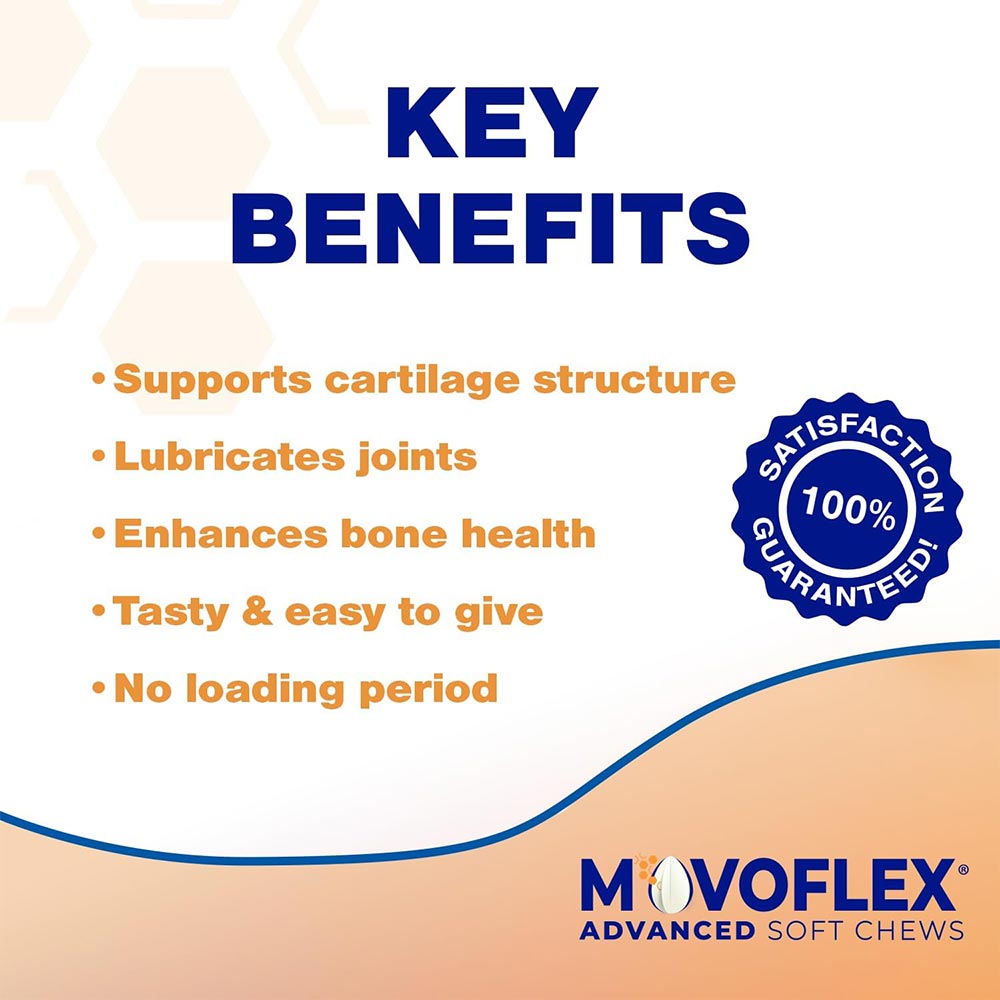 MOVOFLEX-ADVANCED-SMALL-DOGS-60-COUNT