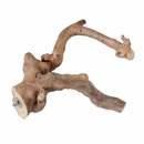 Multi-Branch - Extra Large (30”x3.1”) Multi-Branch - Extra Large (30”x3.1”)