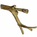 Multi-Branch - Extra Small (14”x0.6”) Multi-Branch - Extra Small (14”x0.6”)