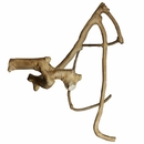 Multi-Branch - Large (26”x2.4”) Multi-Branch - Large (26”x2.4”)