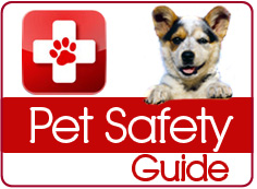National Animal Preparedness Day