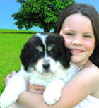 National Pet Adoption Month