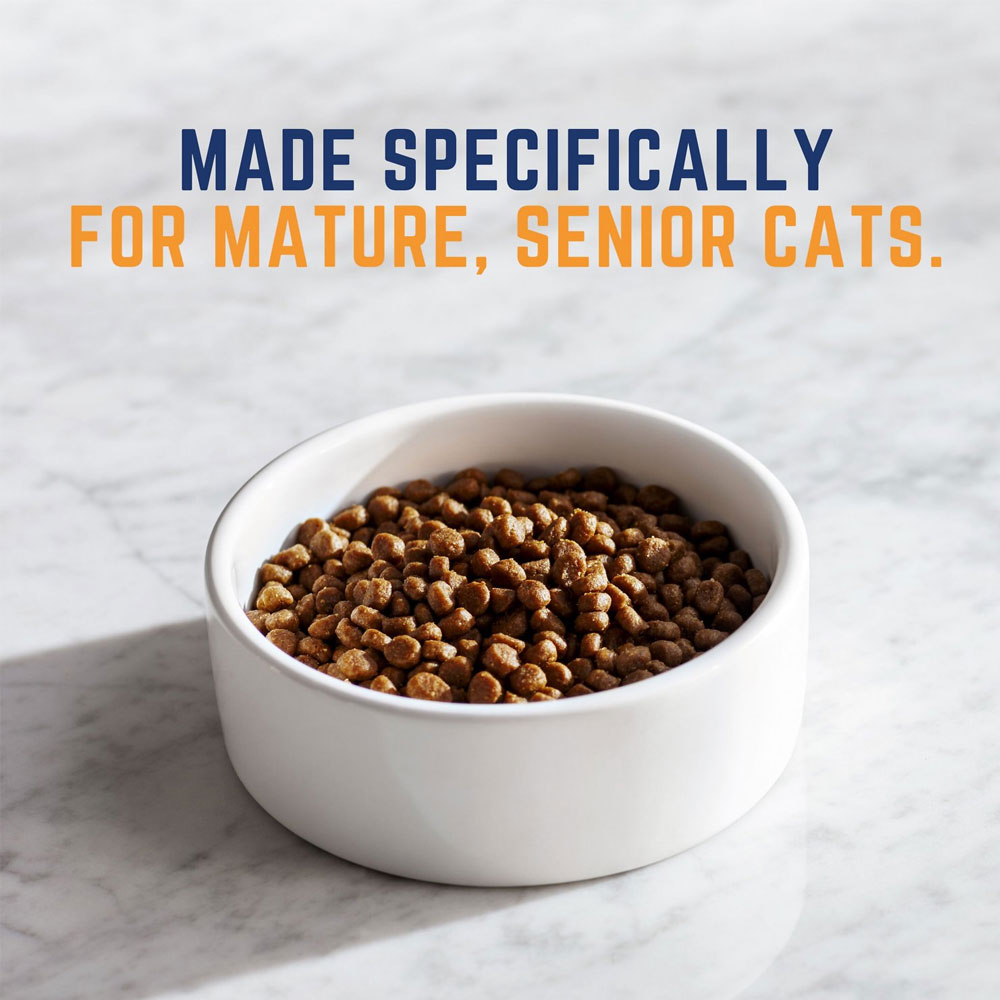 Natural Balance Original Ultra Senior Chicken & Salmon Meal Dry Cat