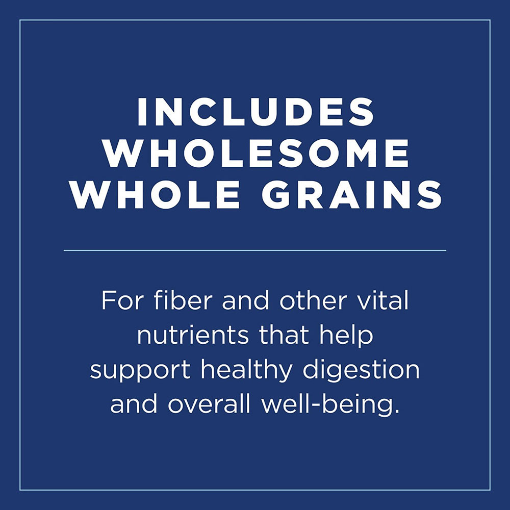 Natural Balance Ultra Premium Lamb Formula Canned Dog Food, 13oz, case