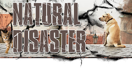 Natural Disaster Preparedness for Pets