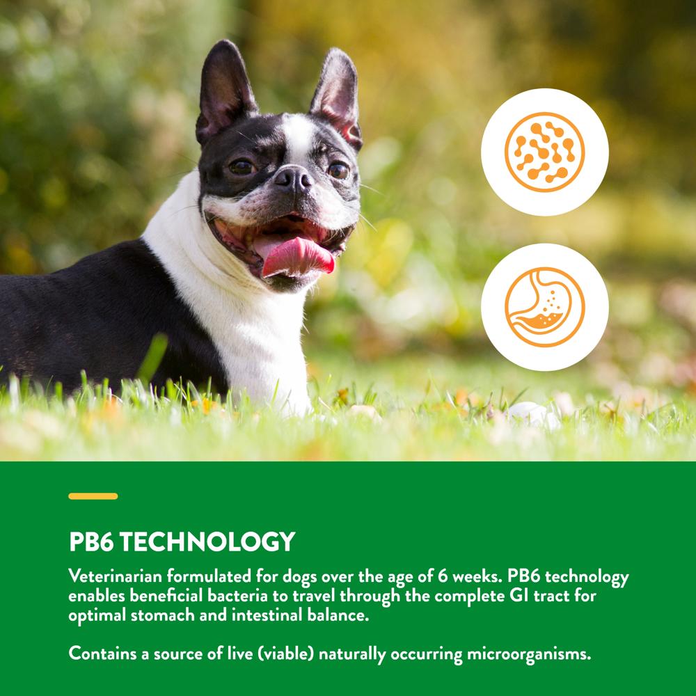 ADVANCED-PROBIOTICS-ENZYMES-120-SOFT-CHEWS