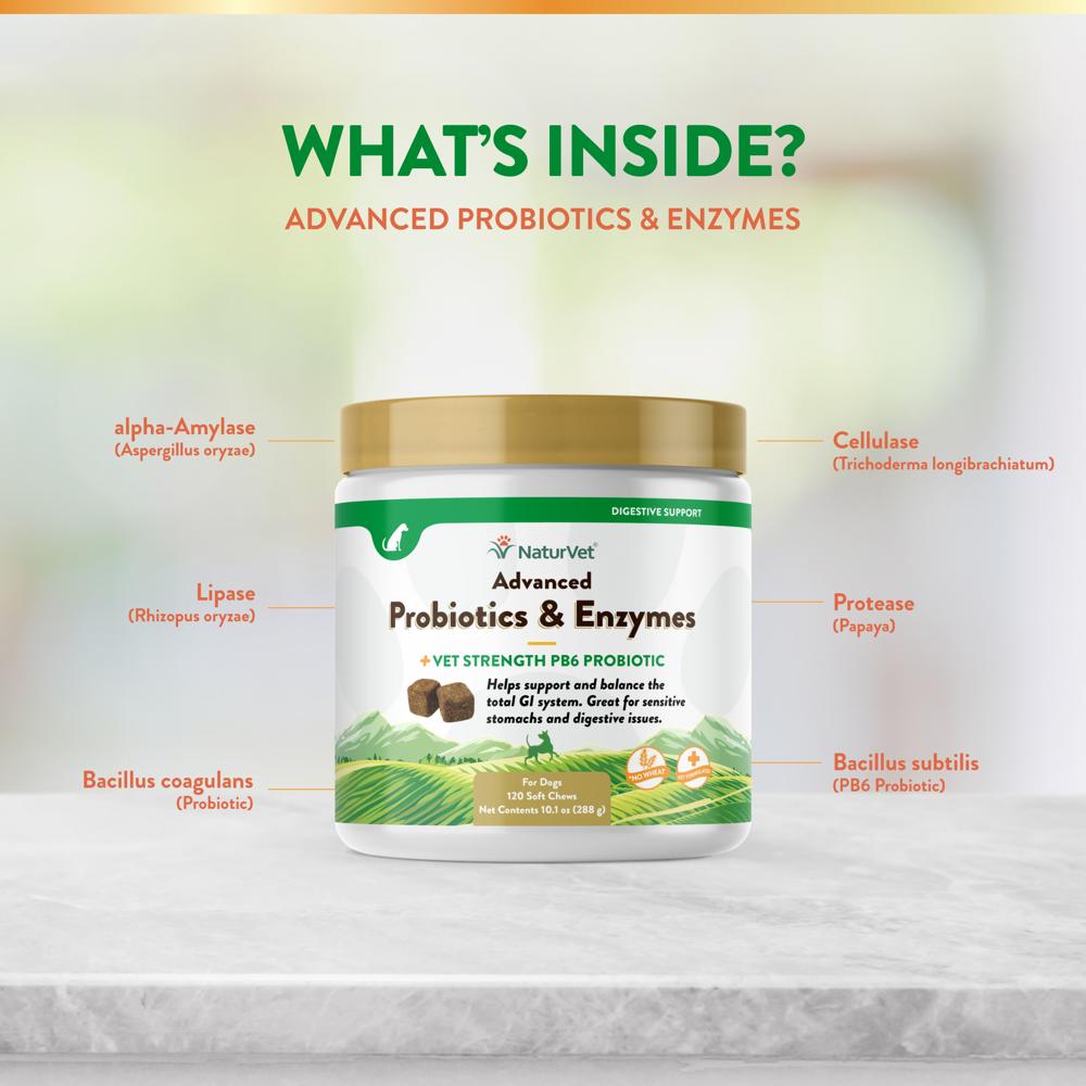 ADVANCED-PROBIOTICS-ENZYMES-120-SOFT-CHEWS