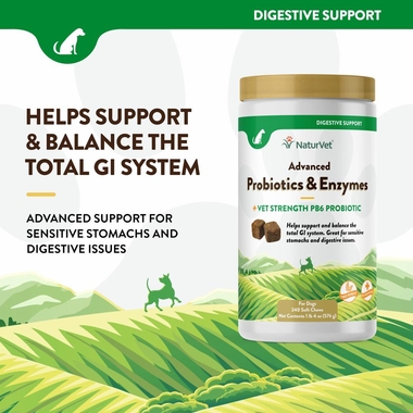 ADVANCED-PROBIOTICS-ENZYMES-240-SOFT-CHEWS
