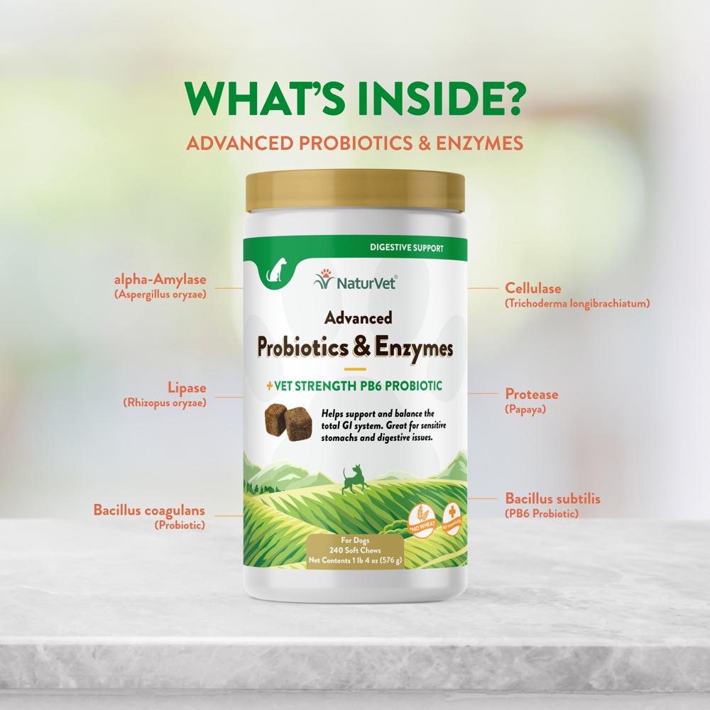 ADVANCED-PROBIOTICS-ENZYMES-240-SOFT-CHEWS