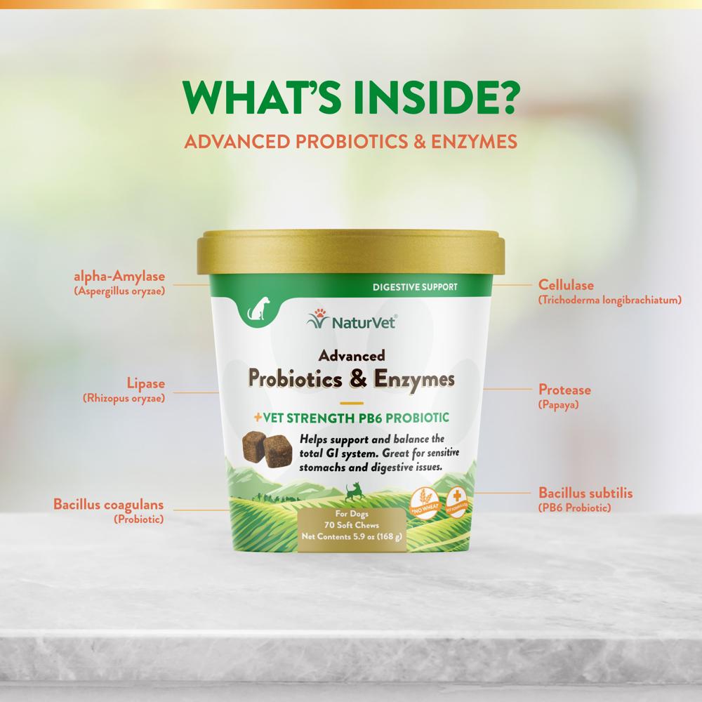 ADVANCED-PROBIOTICS-ENZYMES-70-SOFT-CHEWS