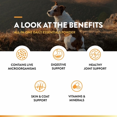 ALL-IN-ONE-DAILY-ESSENTIALS-POWDER-13OZ