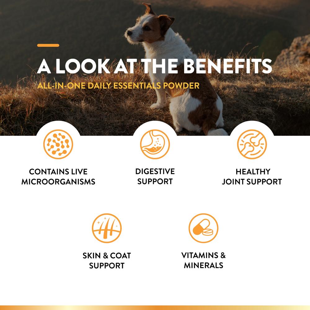 ALL-IN-ONE-DAILY-ESSENTIALS-POWDER-13OZ