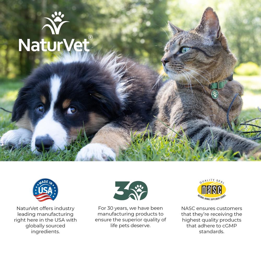 ALL-IN-ONE-DAILY-ESSENTIALS-POWDER-13OZ