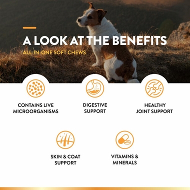 ALL-IN-ONE-DAILY-ESSENTIALS-120-SOFT-CHEWS