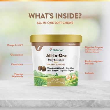 ALL-IN-ONE-DAILY-ESSENTIALS-60-SOFT-CHEWS