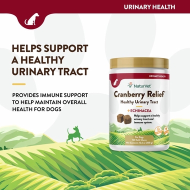 CRANBERRY-RELIEF-ECHINACEA-120-SOFT-CHEWS