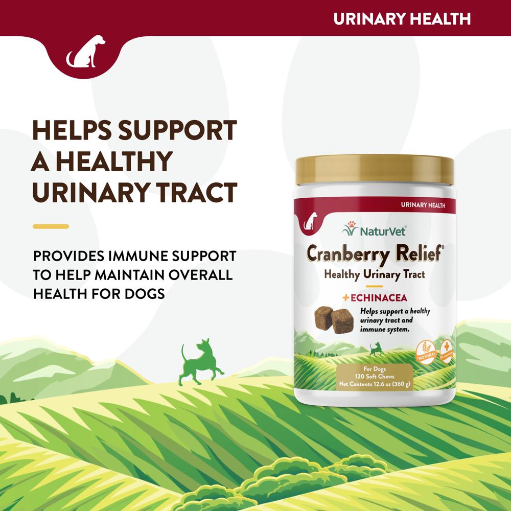 CRANBERRY-RELIEF-ECHINACEA-120-SOFT-CHEWS