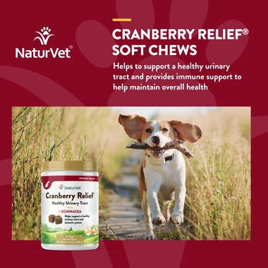 CRANBERRY-RELIEF-ECHINACEA-120-SOFT-CHEWS