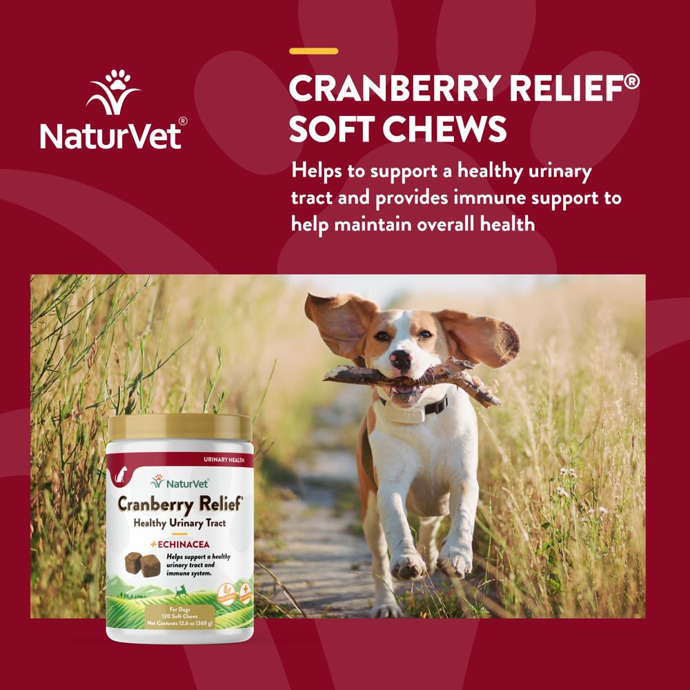 CRANBERRY-RELIEF-ECHINACEA-120-SOFT-CHEWS