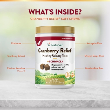 CRANBERRY-RELIEF-ECHINACEA-120-SOFT-CHEWS