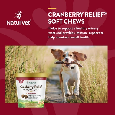 CRANBERRY-RELIEF-ECHINACEA-60-SOFT-CHEWS