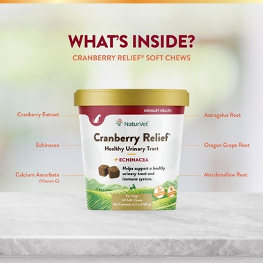 CRANBERRY-RELIEF-ECHINACEA-60-SOFT-CHEWS