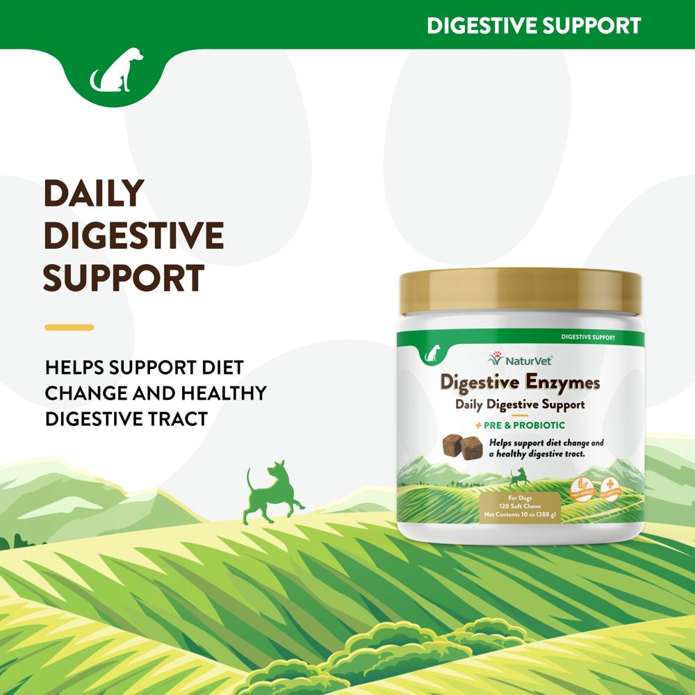 DIGESTIVE-ENZYMES-PROBIOTIC-120-SOFT-CHEWS