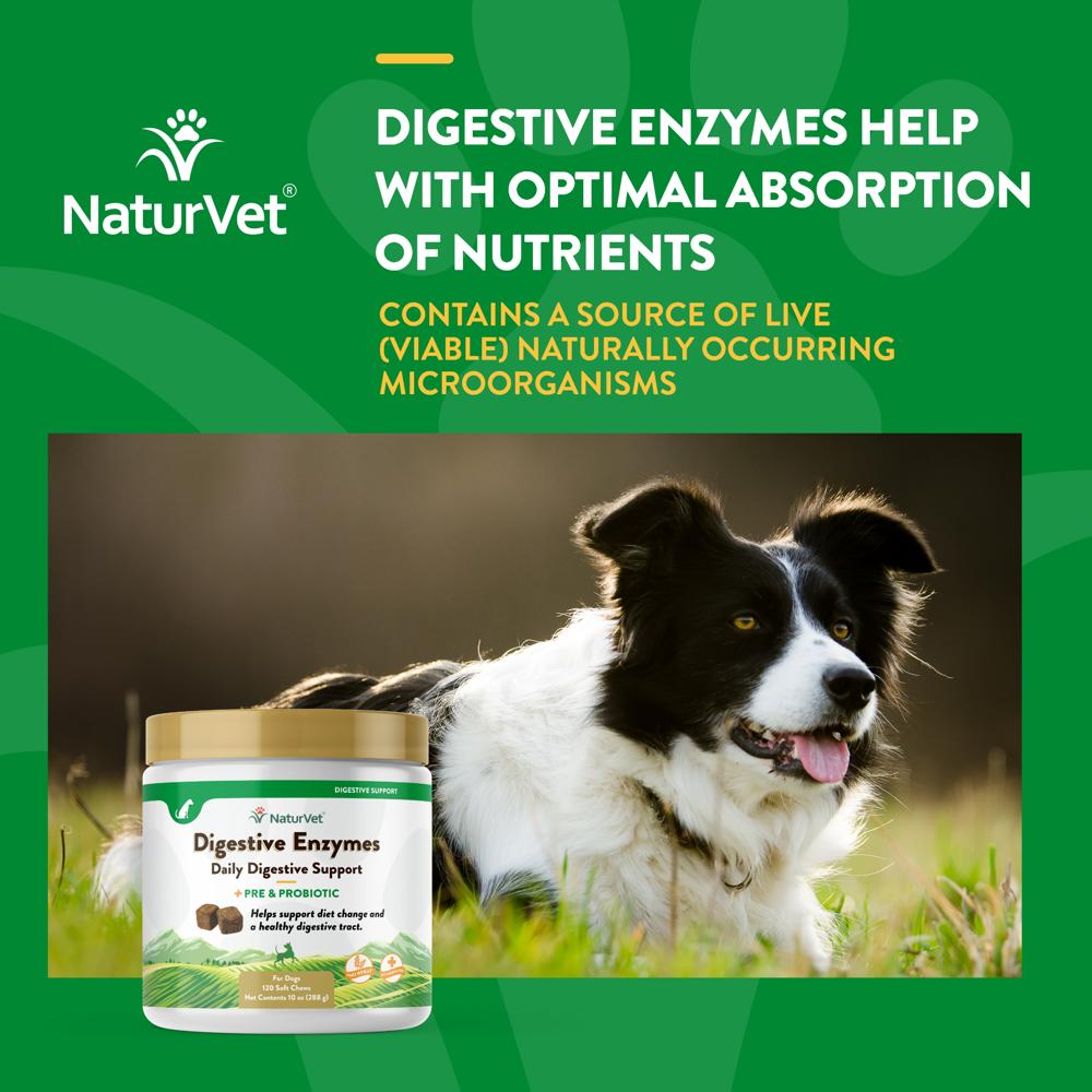 DIGESTIVE-ENZYMES-PROBIOTIC-120-SOFT-CHEWS