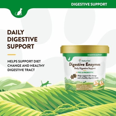 DIGESTIVE-ENZYMES-PROBIOTIC-60-SOFT-CHEWS