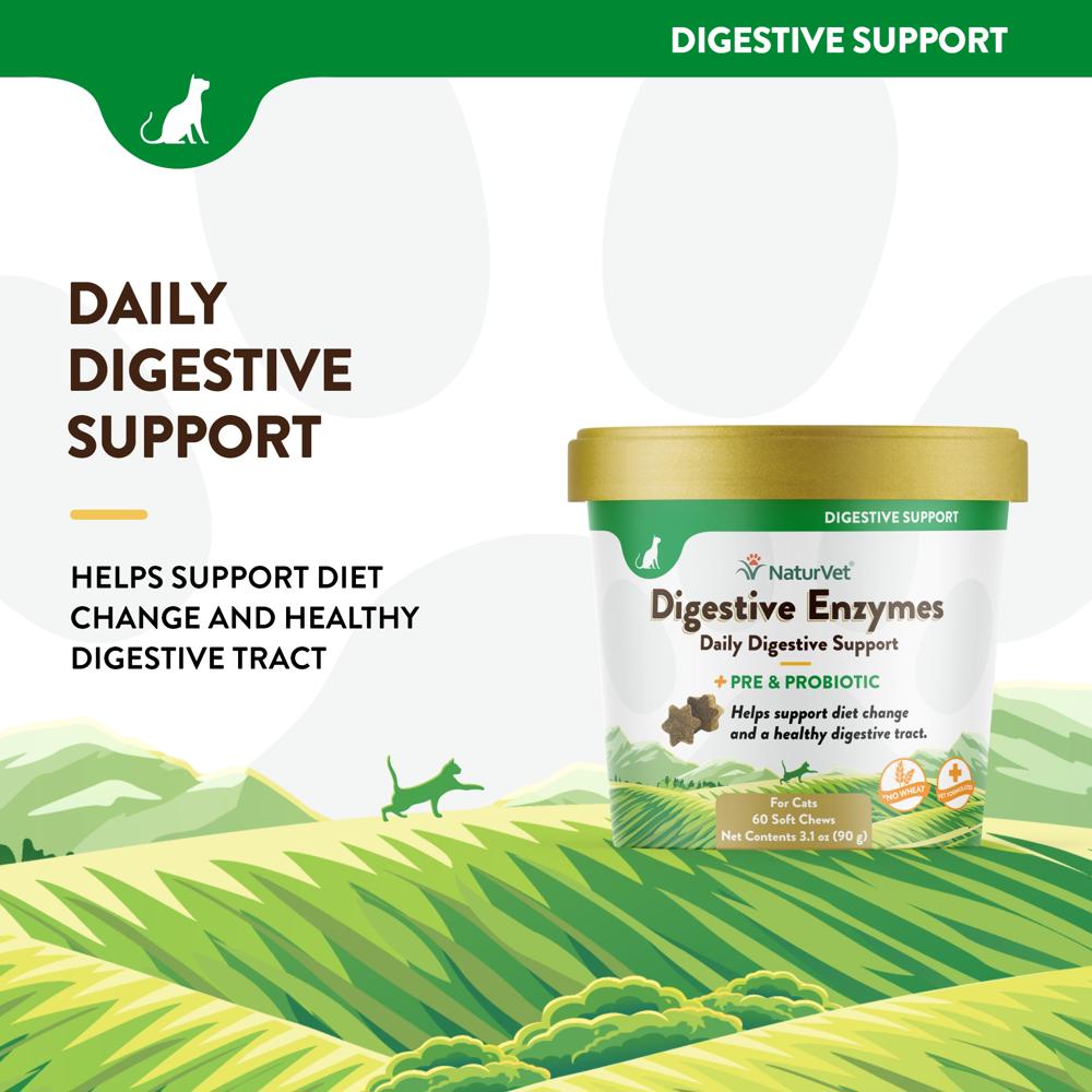 DIGESTIVE-ENZYMES-PROBIOTIC-60-SOFT-CHEWS